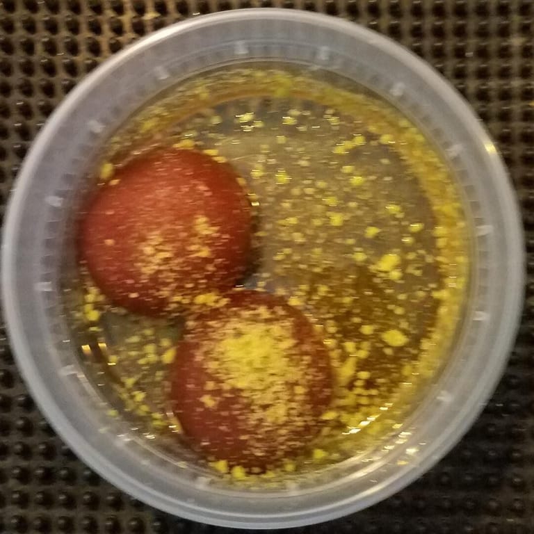 Indulge in our gulab jamun